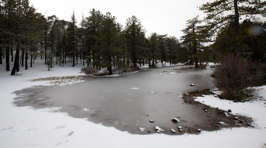 5365814894171672 34530