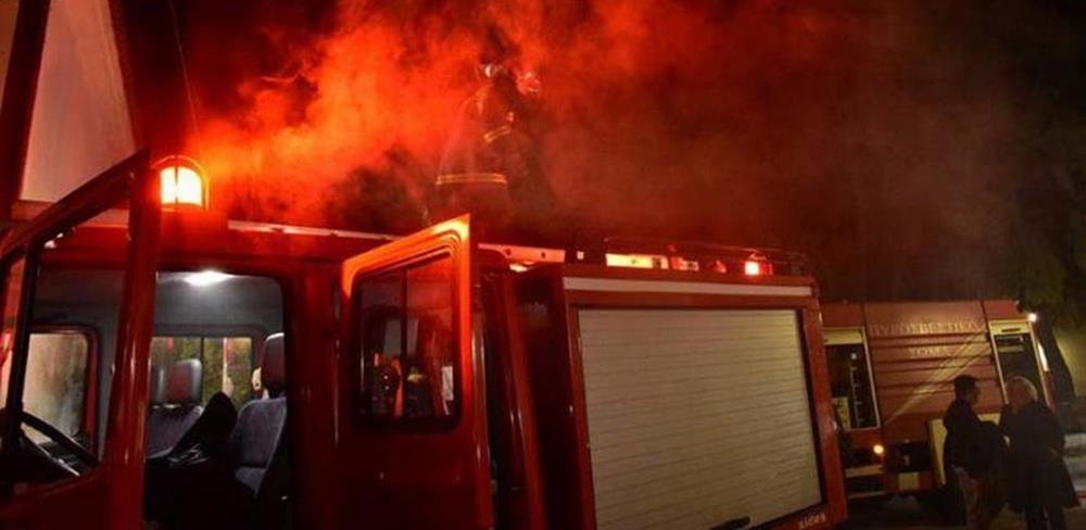 5366615049621197 cats