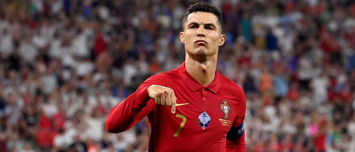 5366817710941778 cats