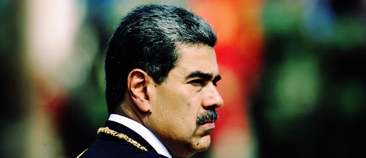 5366868334753645 cats