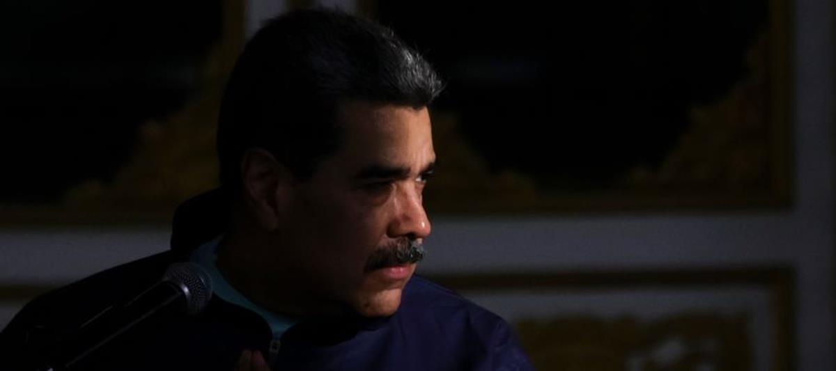 5366888119125135 cats