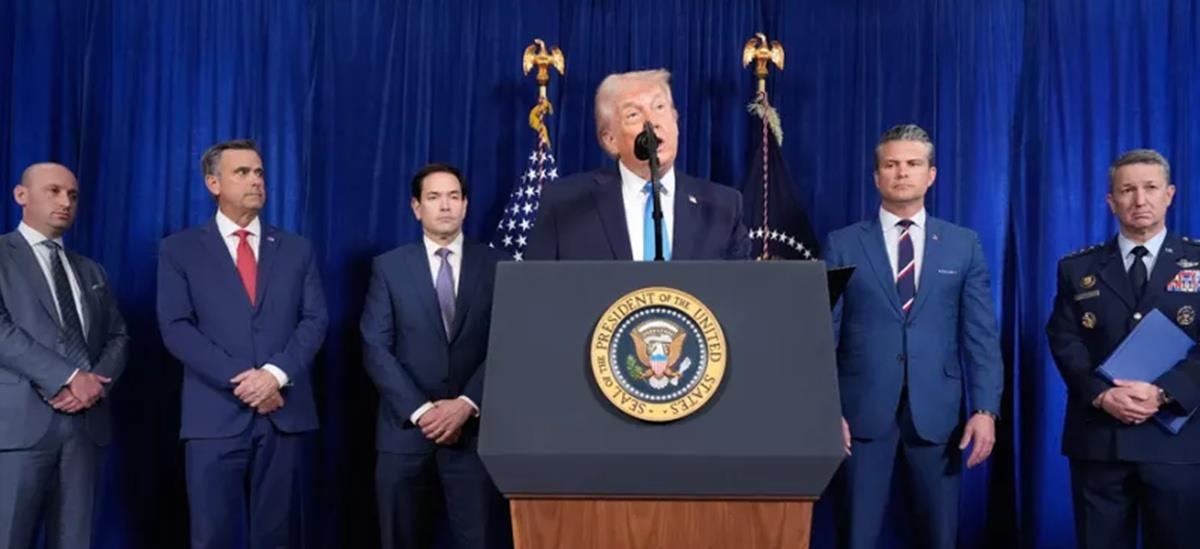 5367017903419285 cats