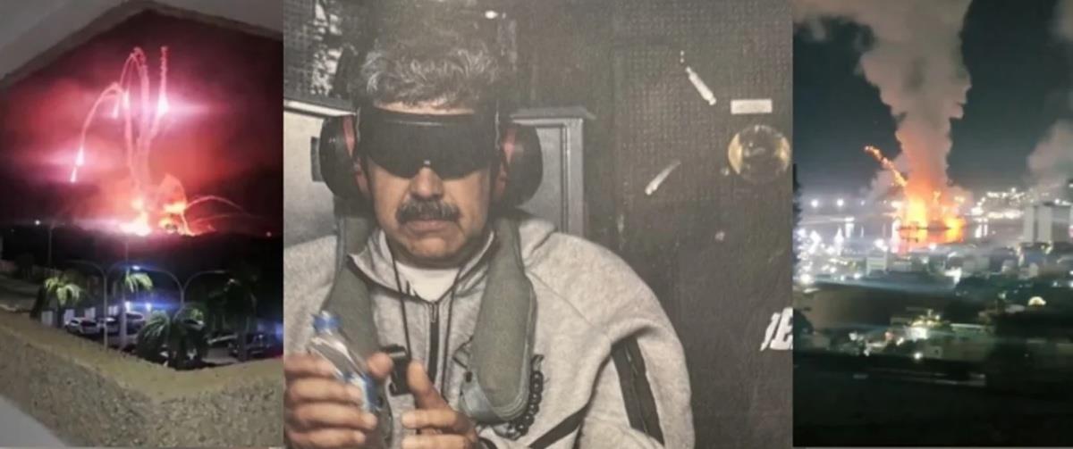 5367049619772010 cats