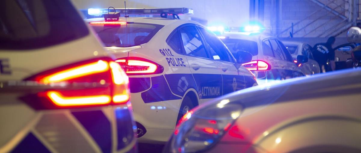 5368340812799944 cats