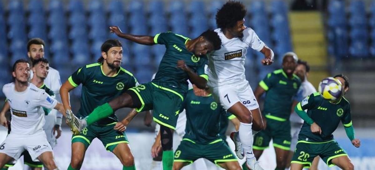 5368386832921369 cats