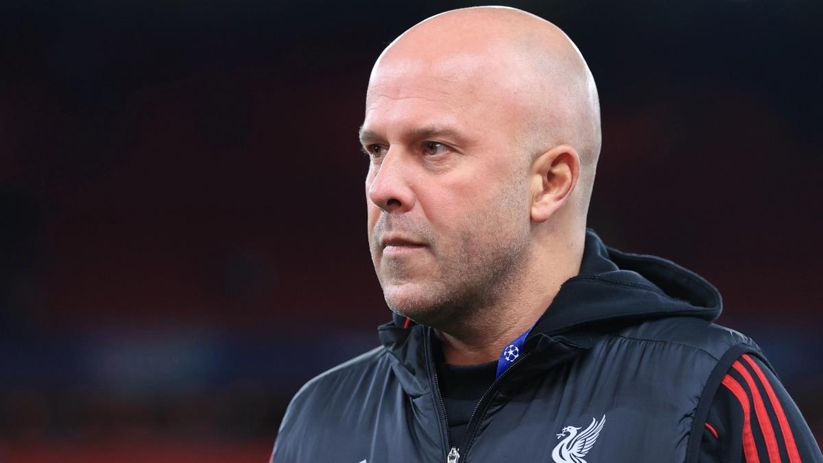 5368568695651237 image