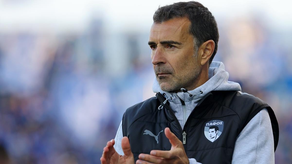 5368598167813529 image