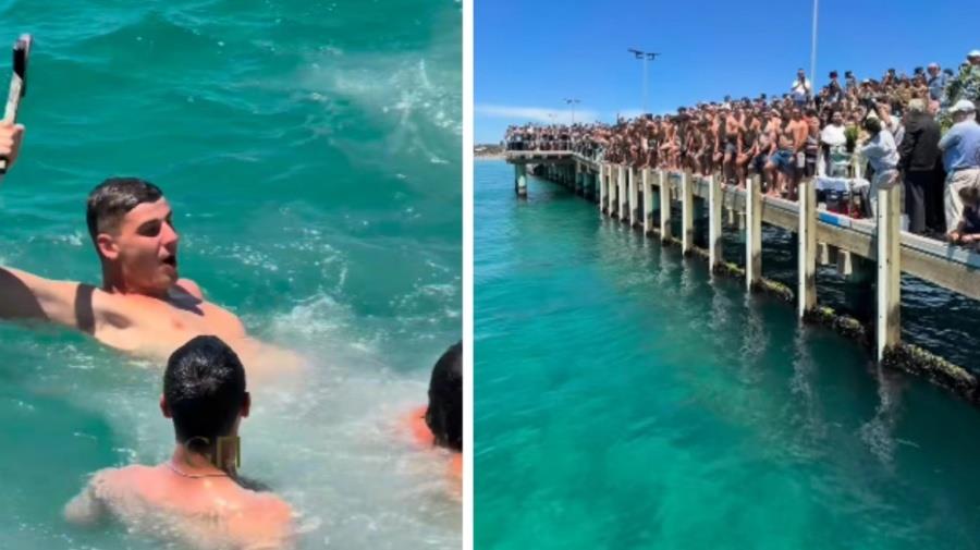 5369259981589879 theofania-au-mkt