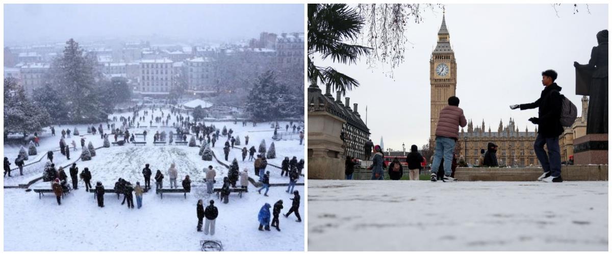 5369617210635995 collage