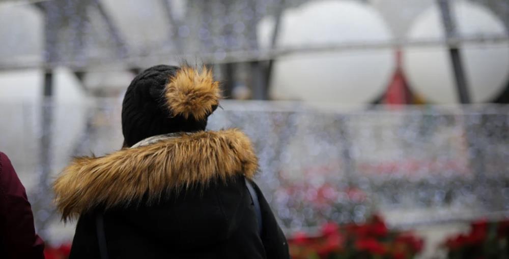 5370890232436235 cats