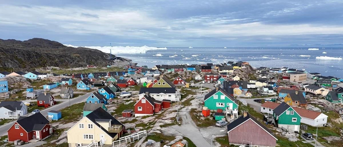 5371010612421429 cats