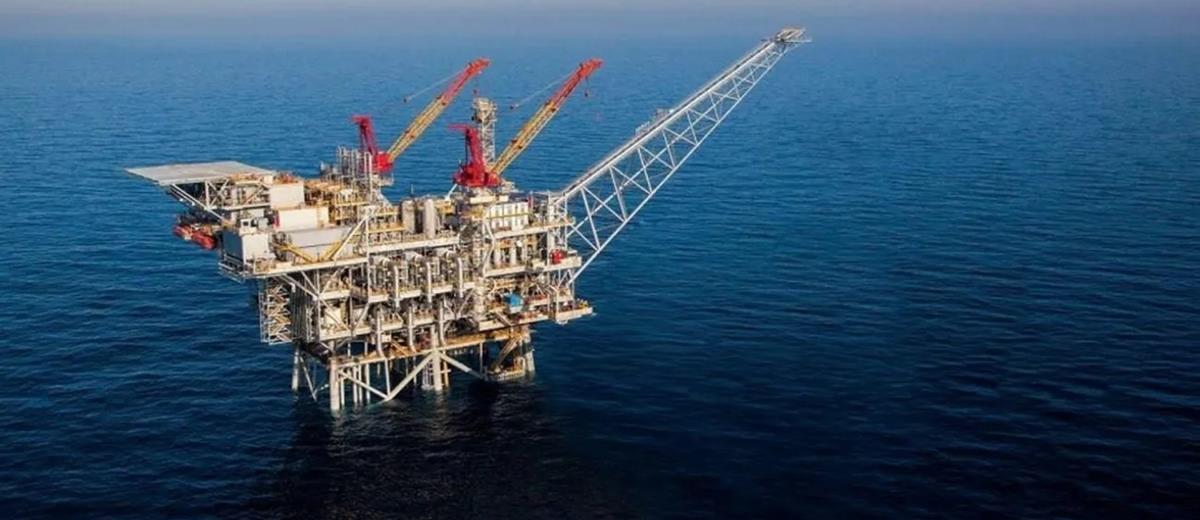 5371083071615490 cats