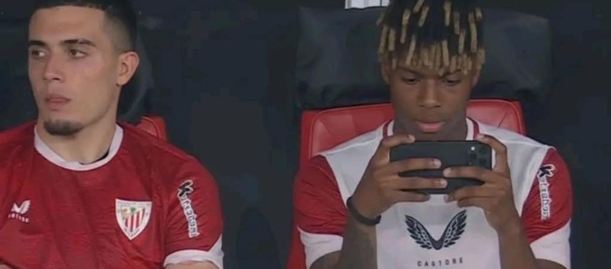 5371129676863853 cats