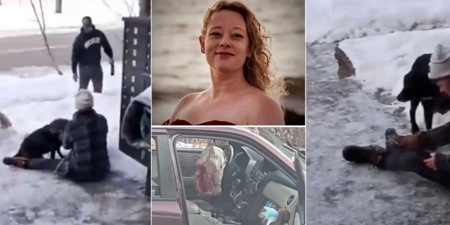 5371156618589937 dolofonia-mineapoli