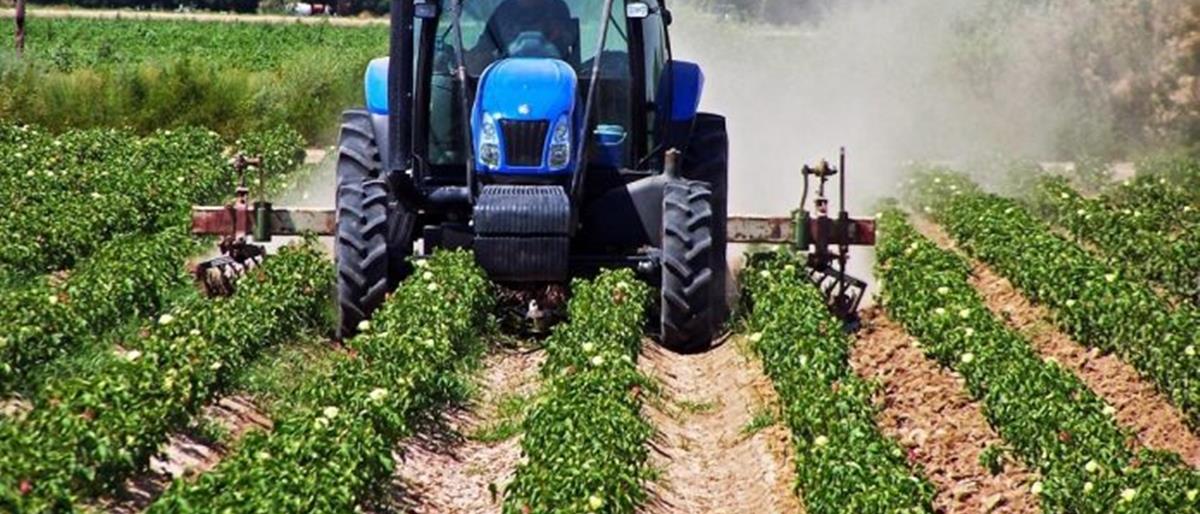 5371931508381630 cats