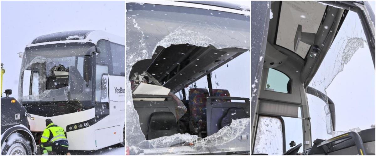 5372839685142102 collage963