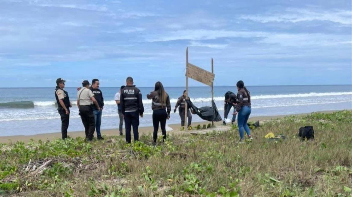 5374400263826772 image