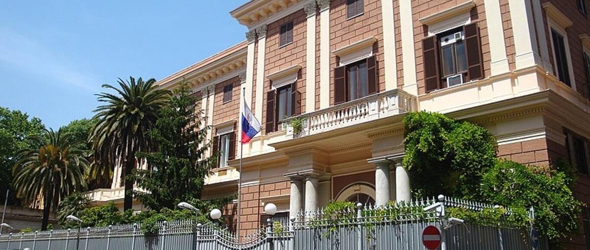 5374573796469835 cats