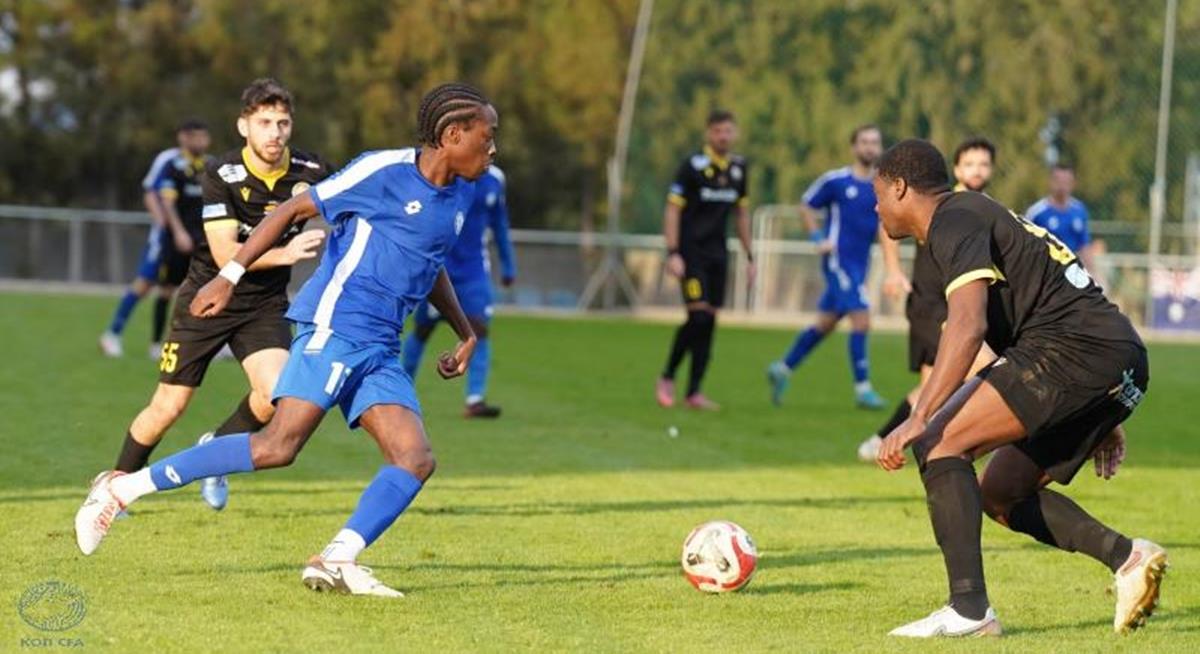 5374588562046835 cats