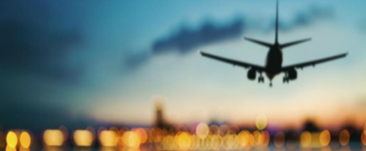 5375465332702486 cats