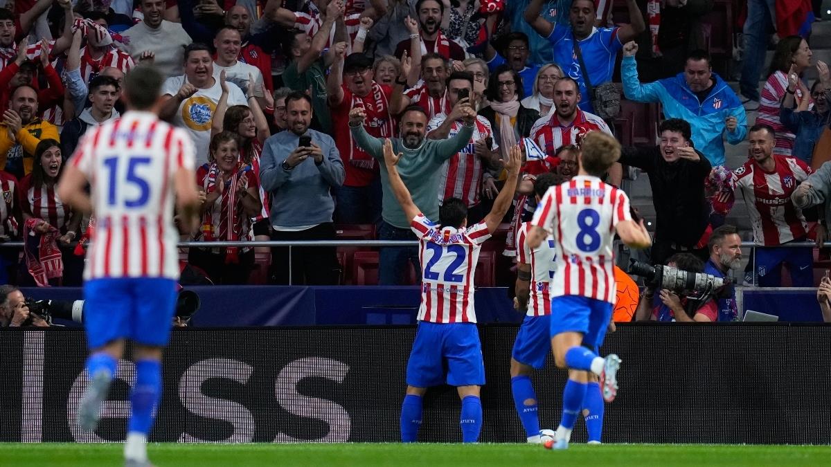 5376176364662444 image