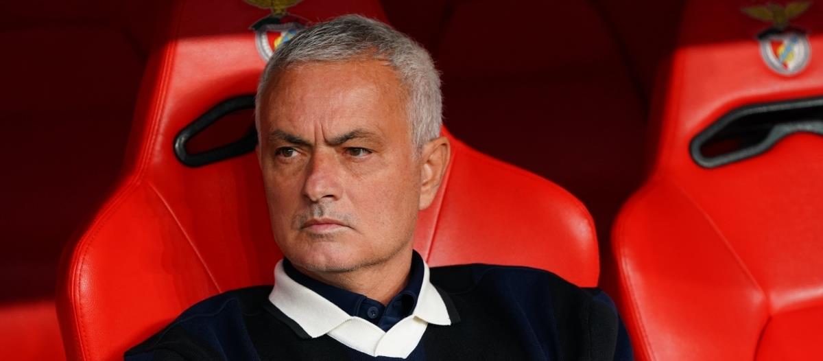 5376273699291259 cats