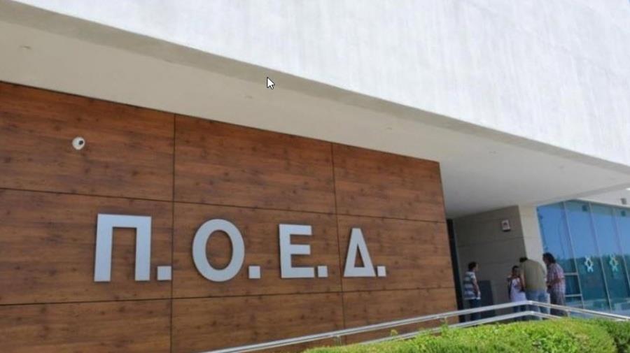 5376459947998095 POED NEO.2e16d0ba.fill-1600x900