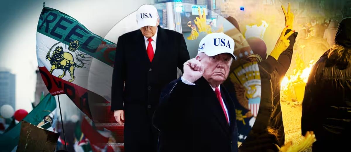 5376979150443261 cats