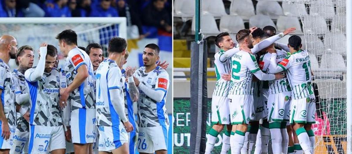 5377015867194933 cats