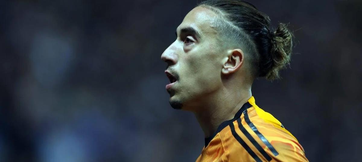 5377153131006458 cats