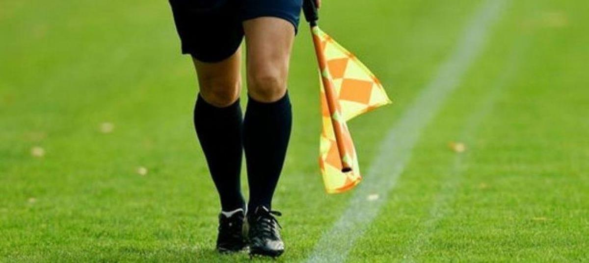 5377158086269495 cats