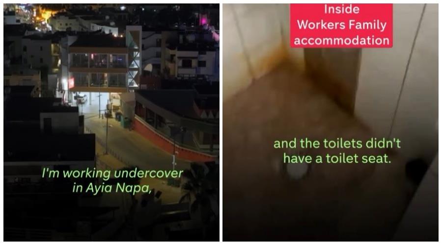 5377265082636490 collage