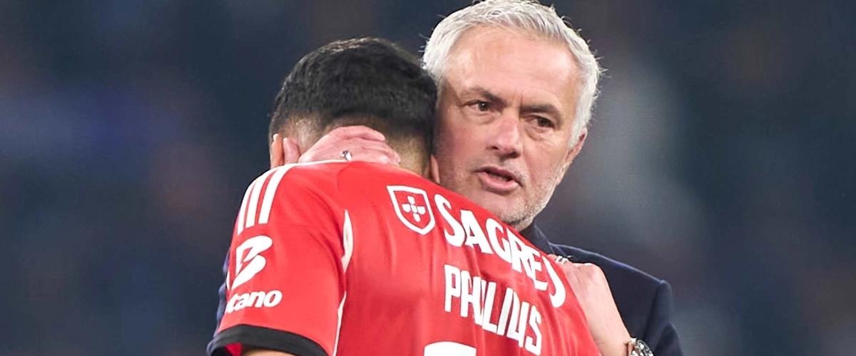 5378031713008559 image