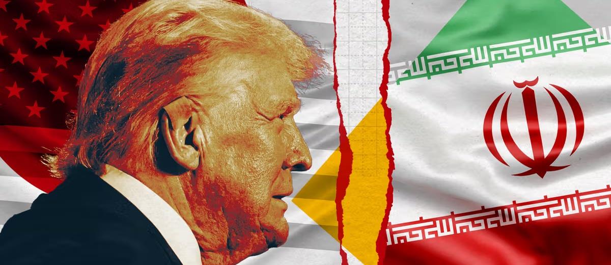 5378075520995176 cats