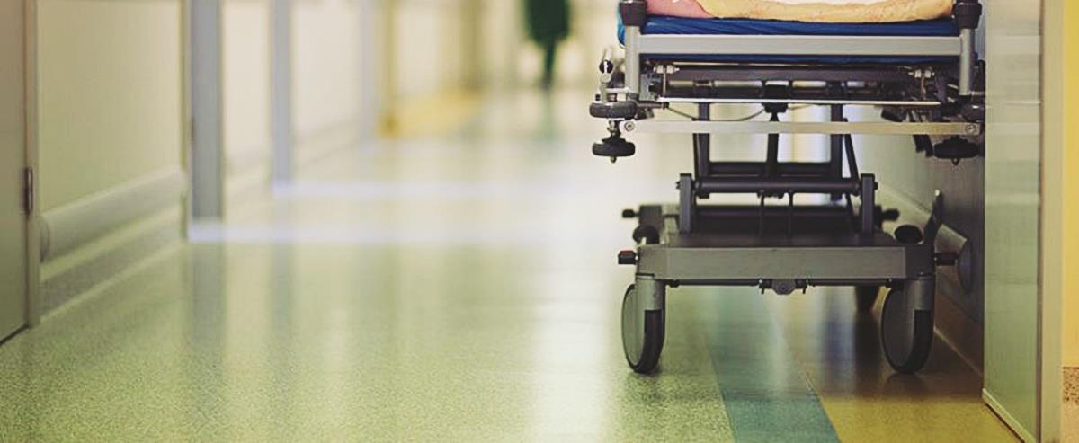 5378093415681304 cats