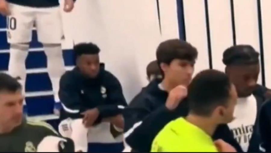 5379050986765235 g-33n2kwkaadtbr