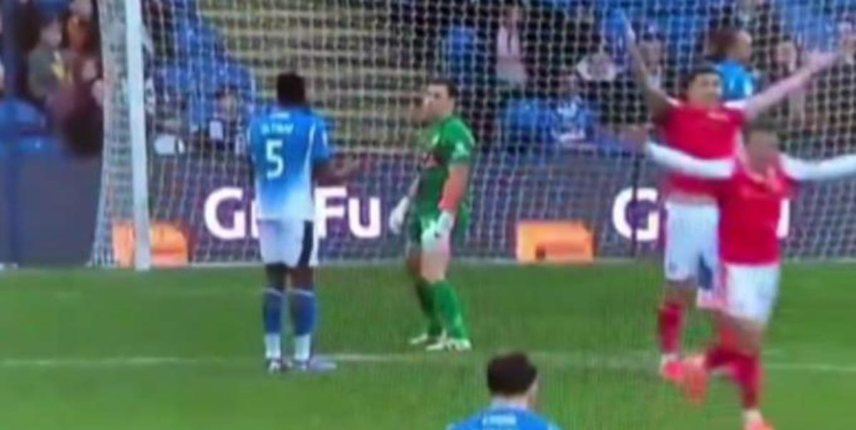 5379584768849858 cats