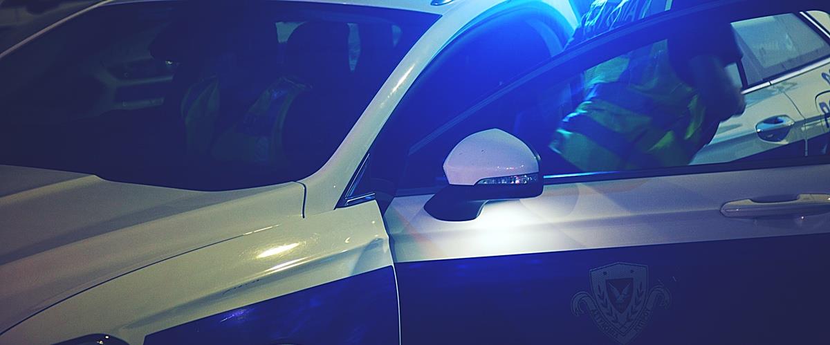 5379605843520629 cats