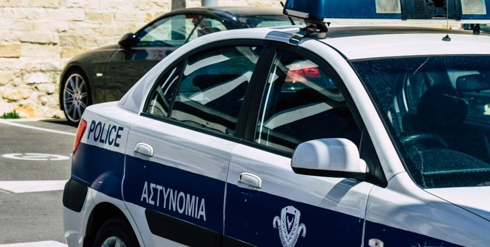 5379850828583135 cats