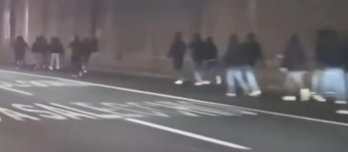 5379908330452338 cats