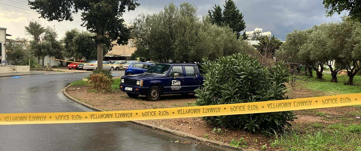 5380388039330534 image