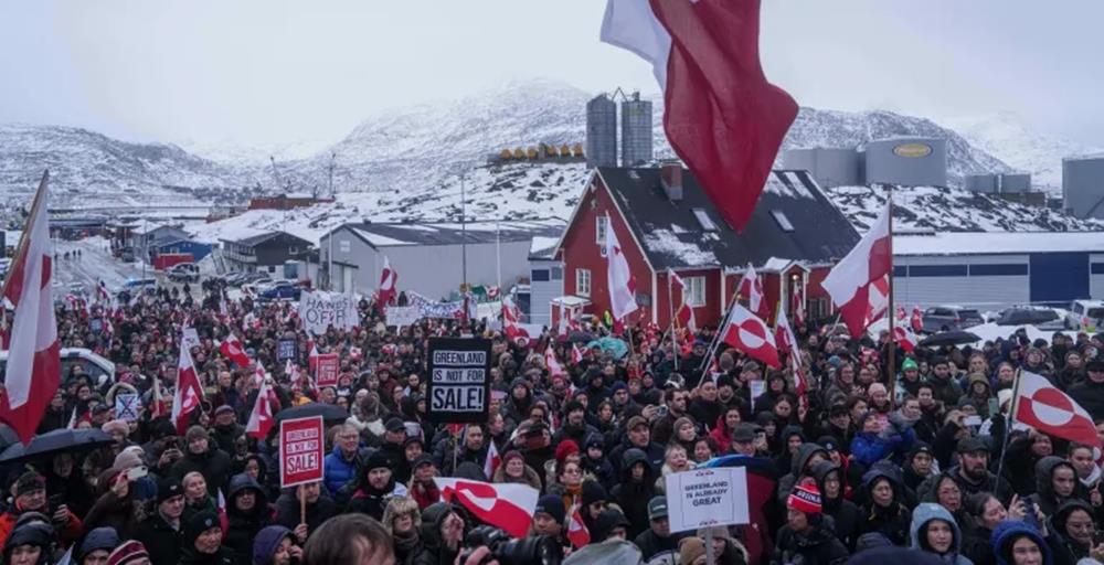 5380402431632230 cats