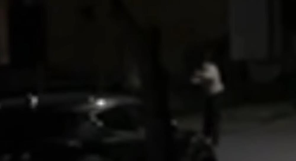 5380513985985266 cats