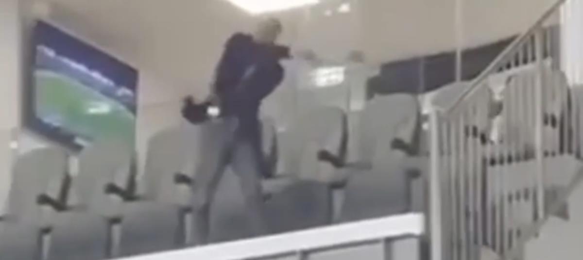 5380534161085451 cats