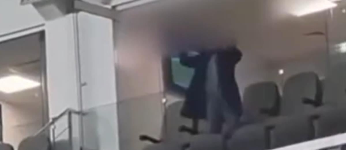 5380608143682760 cats