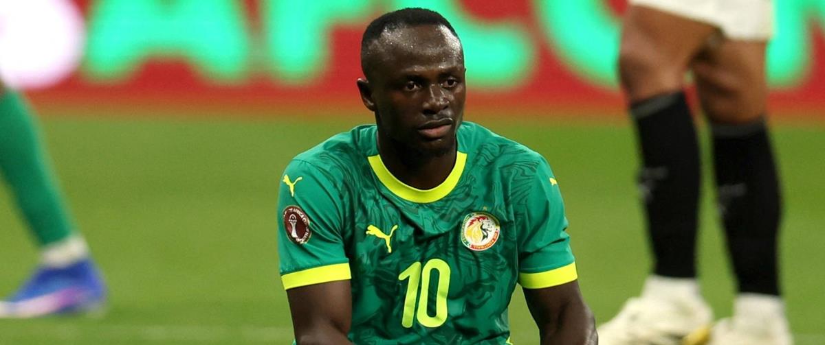 5380644661139045 cats