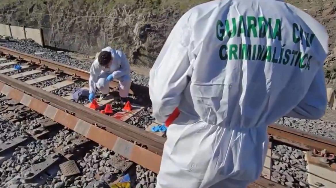 5381258589110146 image