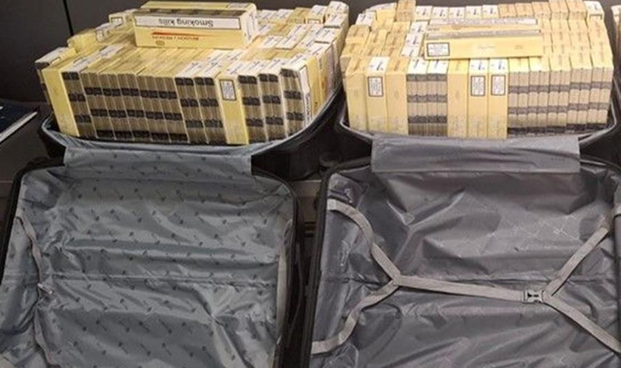 5381267658209062 cats