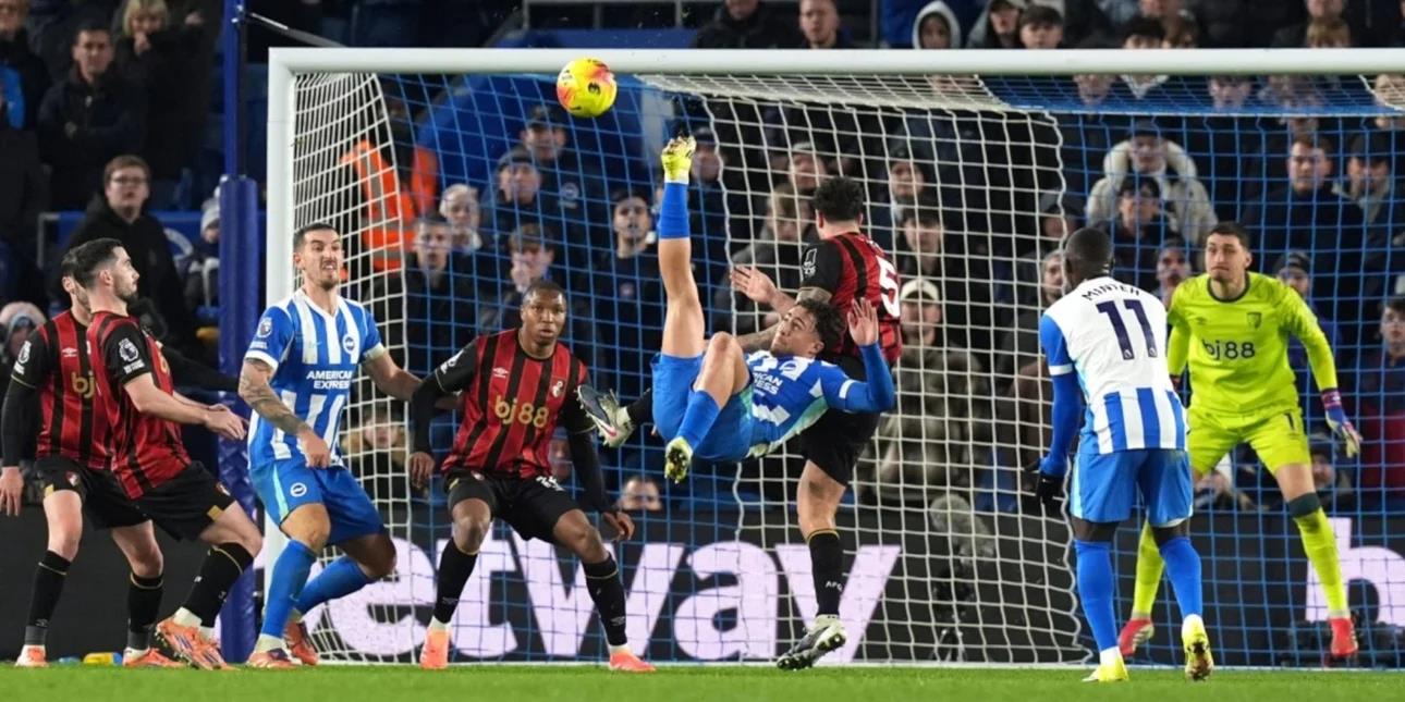 5381270117468811 image