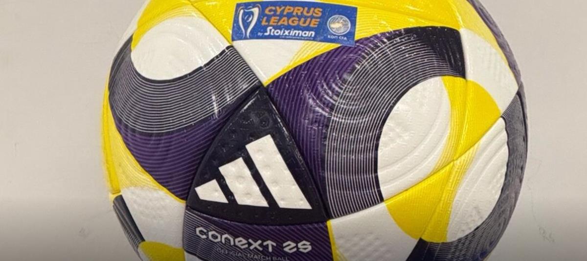 5381302759348351 cats